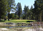 Short par three over the Upper Truckee 